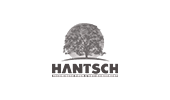 logo hantsch